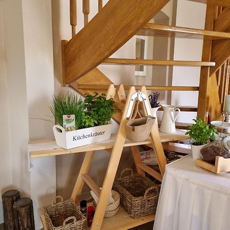 Fertőrákos Huber Panzio Bed & Breakfast エクステリア 写真