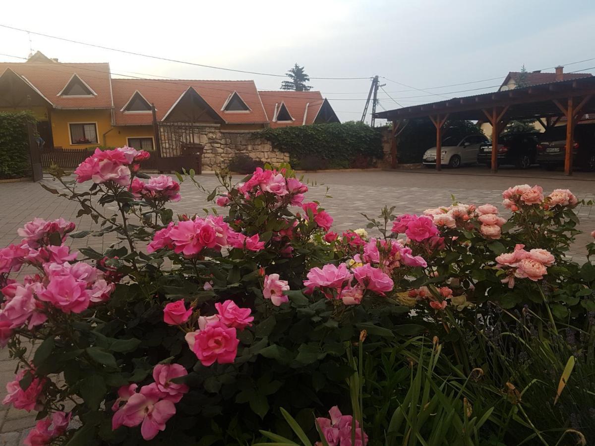 Fertőrákos Huber Panzio Bed & Breakfast エクステリア 写真
