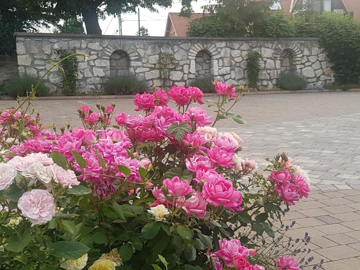 Fertőrákos Huber Panzio Bed & Breakfast エクステリア 写真