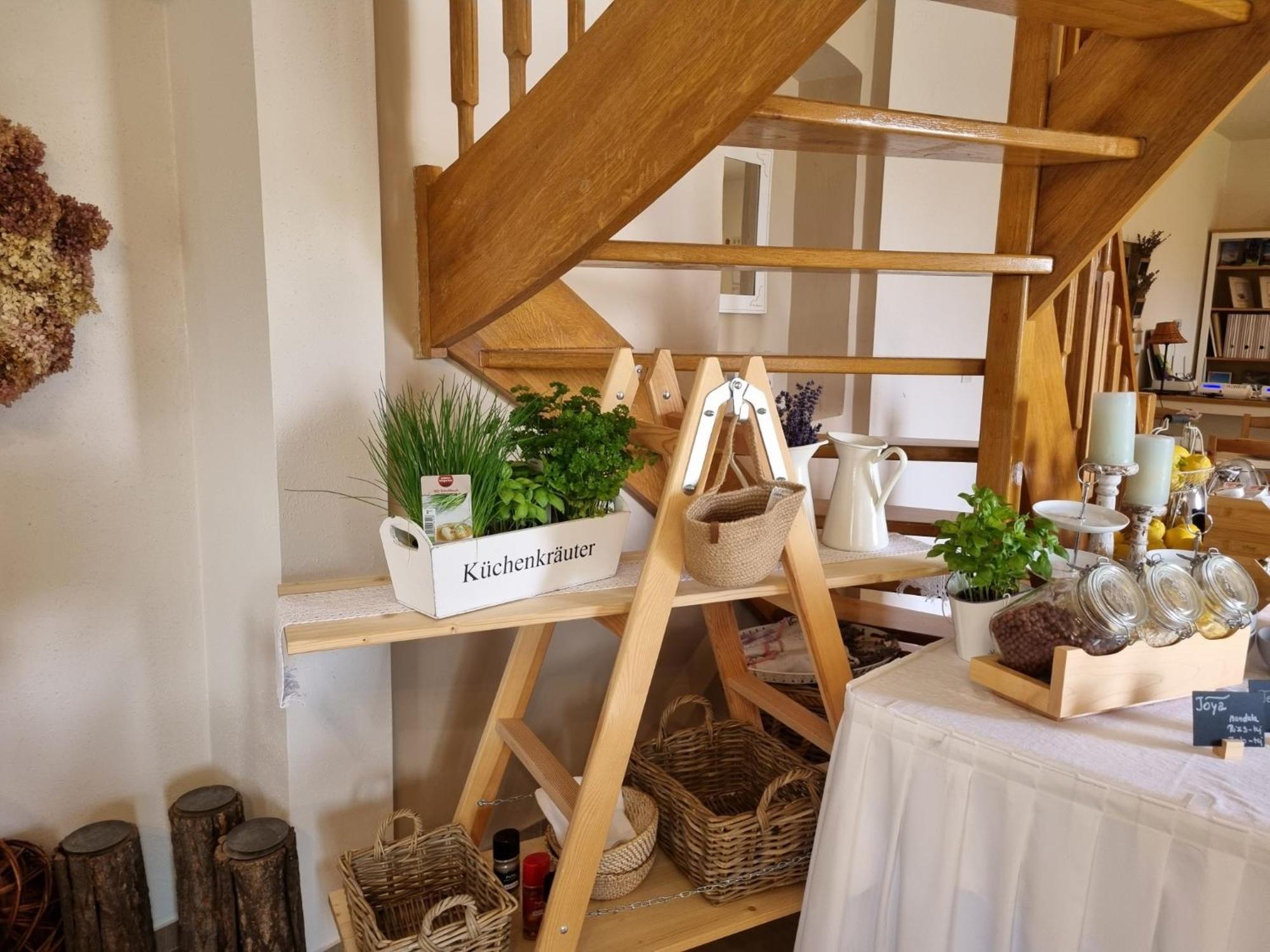 Fertőrákos Huber Panzio Bed & Breakfast エクステリア 写真