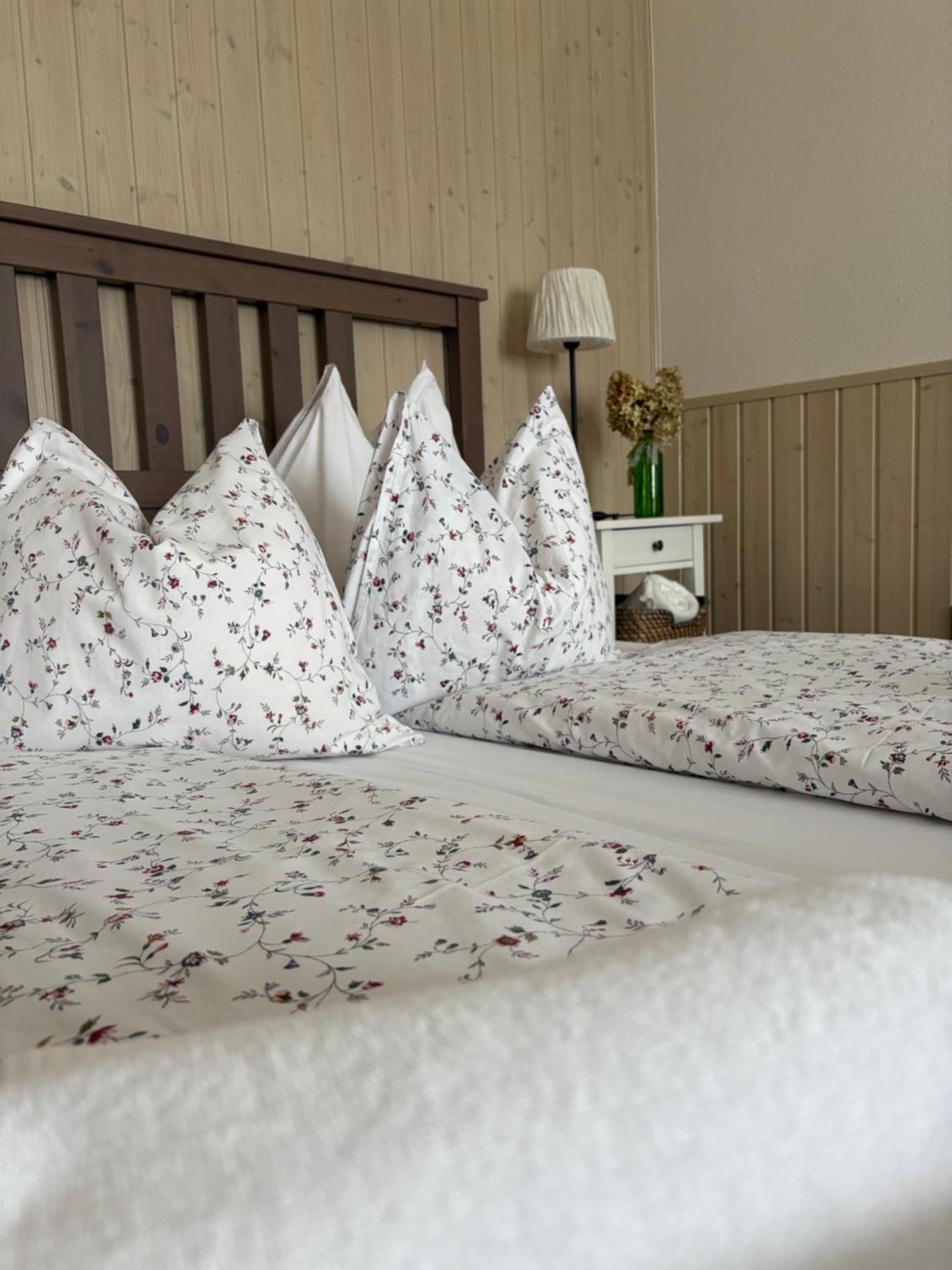 Fertőrákos Huber Panzio Bed & Breakfast エクステリア 写真